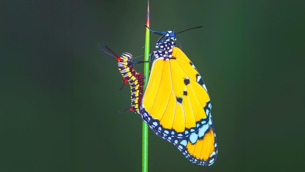 Acuity: autumn 2025 issue out now!